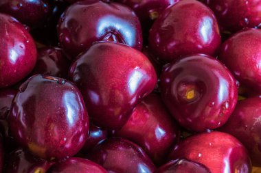 Taze kırmızı, tatlı vişneli. Siyah arka planda dönen, su damlacıklarıyla kaplı kırmızı kirazlar. Islak kirazlar siyah bir uçakta dönüyor.