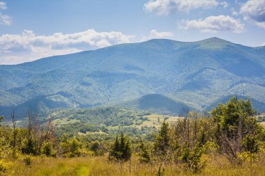 Karpatlar 'da bir dağ yamacındaki kır çiçekleri. Ukrayna Polonynialı Beskid 'lerinin dağlara ve vadilere güzel bir manzarası var. Yazın Ukrayna Karpatlarının Rocky tepeleri.