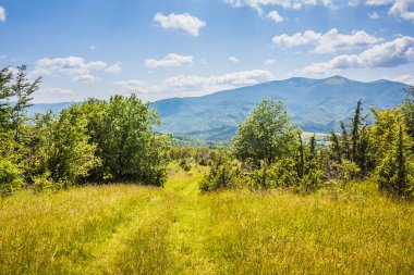 Karpatlar 'da bir dağ yamacındaki kır çiçekleri. Ukrayna Polonynialı Beskid 'lerinin dağlara ve vadilere güzel bir manzarası var. Yazın Ukrayna Karpatlarının Rocky tepeleri.