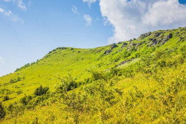 Ukrayna Polonynialı Beskid 'lerinin dağlara ve vadilere güzel bir manzarası var. Yazın Ukrayna Karpatlarının Rocky tepeleri. Karpatlar ve Karpatlar 'da su yapma sırtı