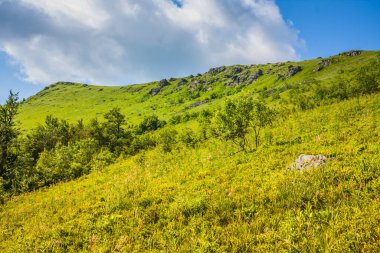 Ukrayna Polonynialı Beskid 'lerinin dağlara ve vadilere güzel bir manzarası var. Yazın Ukrayna Karpatlarının Rocky tepeleri. Karpatlar ve Karpatlar 'da su yapma sırtı