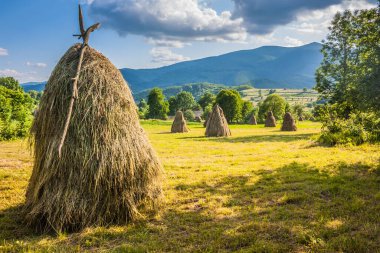 Baharda Karpatlar 'daki Ukrayna köyünde saman ve tarla demetleri. Dağlar ve saman demetleri arasındaki köy. Bukovetsin köyü yakınlarındaki Ukrayna Karpat Dağları.