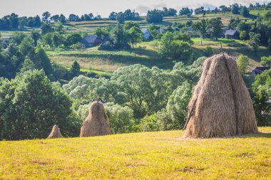 Baharda Karpatlar 'daki Ukrayna köyünde saman ve tarla demetleri. Dağlar ve saman demetleri arasındaki köy. Bukovetsin köyü yakınlarındaki Ukrayna Karpat Dağları.