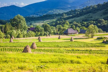 Baharda Karpatlar 'daki Ukrayna köyünde saman ve tarla demetleri. Dağlar ve saman demetleri arasındaki köy. Bukovetsin köyü yakınlarındaki Ukrayna Karpat Dağları.