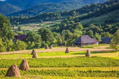 Baharda Karpatlar 'daki Ukrayna köyünde saman ve tarla demetleri. Dağlar ve saman demetleri arasındaki köy. Bukovetsin köyü yakınlarındaki Ukrayna Karpat Dağları.