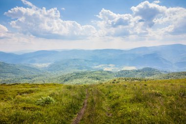 Ukrayna dağlarının güzel manzarası Karpatlar ve vadiler. Yol ve yazları ormanlar ve otlarla kaplı güzel yeşil dağlar. Karpatlar ve Karpatlar 'da su yapma sırtı