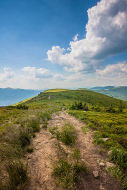 Ukrayna dağlarının güzel manzarası Karpatlar ve vadiler. Yol ve yazları ormanlar ve otlarla kaplı güzel yeşil dağlar. Karpatlar ve Karpatlar 'da su yapma sırtı