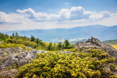 Ukrayna dağlarının güzel manzarası Karpatlar ve vadiler. Yazın ormanları, kayaları ve otları olan güzel yeşil dağlar. Karpatlar ve Karpatlar 'da su yapma sırtı