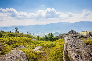Ukrayna dağlarının güzel manzarası Karpatlar ve vadiler. Yazın ormanları, kayaları ve otları olan güzel yeşil dağlar. Karpatlar ve Karpatlar 'da su yapma sırtı