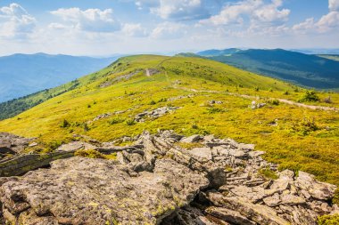 Ukrayna dağlarının güzel manzarası Karpatlar ve vadiler. Yazın ormanları, kayaları ve otları olan güzel yeşil dağlar. Karpatlar ve Karpatlar 'da su yapma sırtı