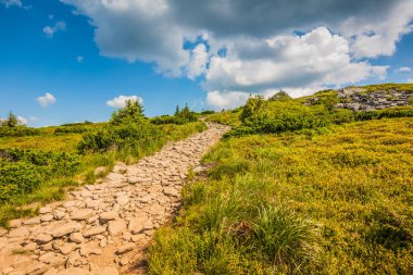 Ukrayna dağlarının güzel manzarası Karpatlar ve vadiler. Taş patika ve yazın ormanları ve otları olan güzel yeşil dağlar. Karpatlar ve Karpatlar 'da su yapma sırtı