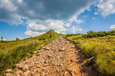 Ukrayna dağlarının güzel manzarası Karpatlar ve vadiler. Taş patika ve yazın ormanları ve otları olan güzel yeşil dağlar. Karpatlar ve Karpatlar 'da su yapma sırtı