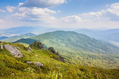 Ukrayna dağlarının güzel manzarası Karpatlar ve vadiler. Yazın ormanları, kayaları ve otları olan güzel yeşil dağlar. Karpatlar ve Karpatlar 'da su yapma sırtı