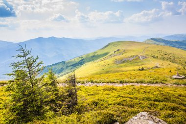 Ukrayna dağlarının güzel manzarası Karpatlar ve vadiler. Yazın ormanları, kayaları ve otları olan güzel yeşil dağlar. Karpatlar ve Karpatlar 'da su yapma sırtı