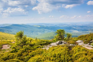 Ukrayna dağlarının güzel manzarası Karpatlar ve vadiler. Yazın ormanları, kayaları ve otları olan güzel yeşil dağlar. Karpatlar ve Karpatlar 'da su yapma sırtı