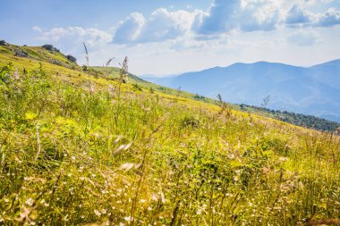 Ukrayna dağlarının güzel manzarası Karpatlar ve vadiler. Yazın ormanları, kayaları ve otları olan güzel yeşil dağlar. Karpatlar ve Karpatlar 'da su yapma sırtı
