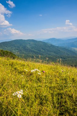 Ukrayna dağlarının güzel manzarası Karpatlar ve vadiler. Yazın ormanları, kayaları ve otları olan güzel yeşil dağlar. Karpatlar ve Karpatlar 'da su yapma sırtı