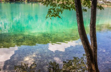 Güzel, berrak mavi Plitvice Gölleri manzarası. Mavi suyu olan göllerin etrafındaki kayalar ve yeşil ağaçlar. Hırvatistan 'daki Plitvice Gölleri Ulusal Parkı nefes kesici bir manzara.