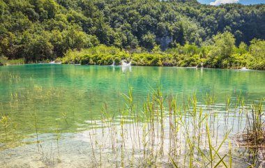Güzel, berrak mavi Plitvice Gölleri manzarası. Mavi suyu olan göllerin etrafındaki kayalar ve yeşil ağaçlar. Hırvatistan 'daki Plitvice Gölleri Ulusal Parkı nefes kesici bir manzara.