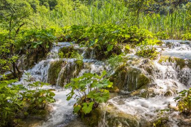 Plitvice Gölleri 'ndeki güzel şelalelerin manzarası. Mavi suyu olan göllerin etrafındaki kayalar ve yeşil ağaçlar. Hırvatistan 'daki Plitvice Gölleri Ulusal Parkı nefes kesici bir manzara.