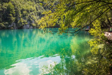 Güzel, berrak mavi Plitvice Gölleri manzarası. Mavi suyu olan göllerin etrafındaki kayalar ve yeşil ağaçlar. Hırvatistan 'daki Plitvice Gölleri Ulusal Parkı nefes kesici bir manzara.