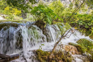 Plitvice Gölleri 'ndeki güzel şelalelerin manzarası. Mavi suyu olan göllerin etrafındaki kayalar ve yeşil ağaçlar. Hırvatistan 'daki Plitvice Gölleri Ulusal Parkı nefes kesici bir manzara.
