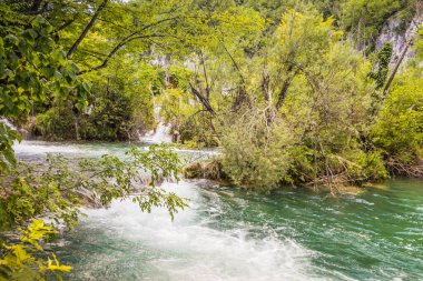 Plitvice Gölleri 'ndeki güzel şelalelerin manzarası. Mavi suyu olan göllerin etrafındaki kayalar ve yeşil ağaçlar. Hırvatistan 'daki Plitvice Gölleri Ulusal Parkı nefes kesici bir manzara.