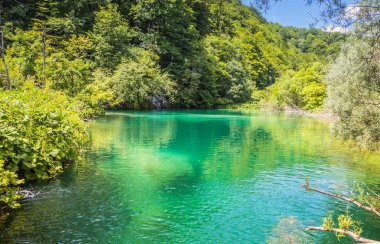 Plitvice Gölleri 'ndeki güzel şelalelerin manzarası. Mavi suyu olan göllerin etrafındaki kayalar ve yeşil ağaçlar. Hırvatistan 'daki Plitvice Gölleri Ulusal Parkı nefes kesici bir manzara.