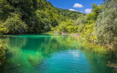 Plitvice Gölleri 'ndeki güzel şelalelerin manzarası. Mavi suyu olan göllerin etrafındaki kayalar ve yeşil ağaçlar. Hırvatistan 'daki Plitvice Gölleri Ulusal Parkı nefes kesici bir manzara.