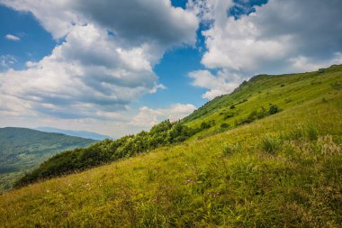 Ukrayna dağlarının güzel manzarası Karpatlar ve vadiler. Yazın ormanları ve otları olan güzel yeşil dağlar. Karpatlar ve Karpatlar 'da su yapma sırtı