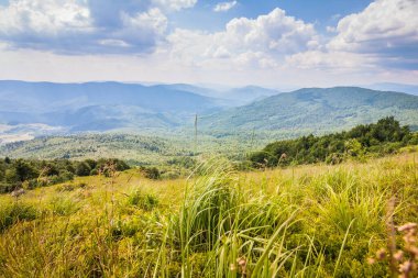 Ukrayna dağlarının güzel manzarası Karpatlar ve vadiler. Yazın ormanları ve otları olan güzel yeşil dağlar. Karpatlar ve Karpatlar 'da su yapma sırtı