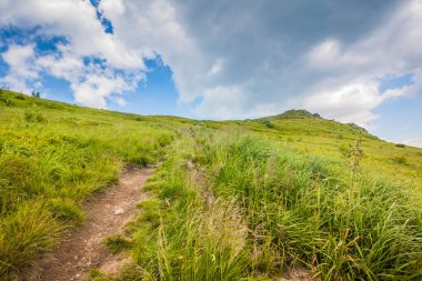 Ukrayna dağlarının güzel manzarası Karpatlar ve vadiler. Yol ve yazları ormanlar ve otlarla kaplı güzel yeşil dağlar. Karpatlar ve Karpatlar 'da su yapma sırtı
