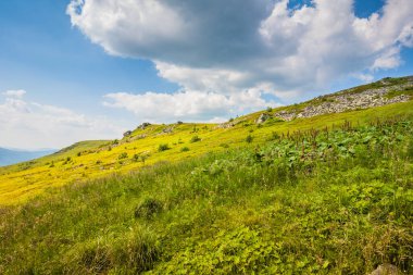 Ukrayna dağlarının güzel manzarası Karpatlar ve vadiler. Yazın ormanları, kayaları ve otları olan güzel yeşil dağlar. Karpatlar ve Karpatlar 'da su yapma sırtı