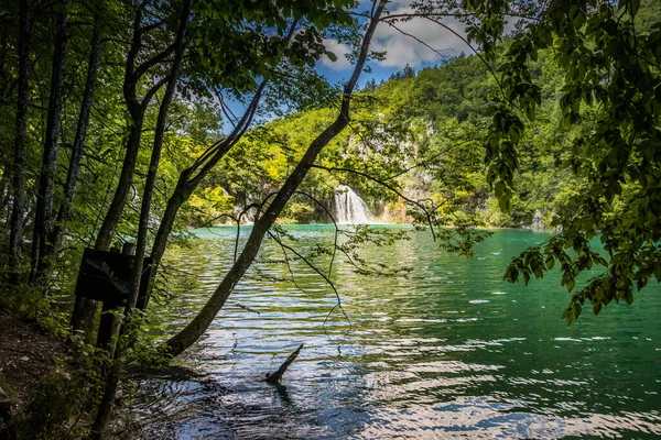 View Beautiful Clear Blue Plitvice Lakes Picturesque Waterfalls Rocks Green — Stock Photo, Image
