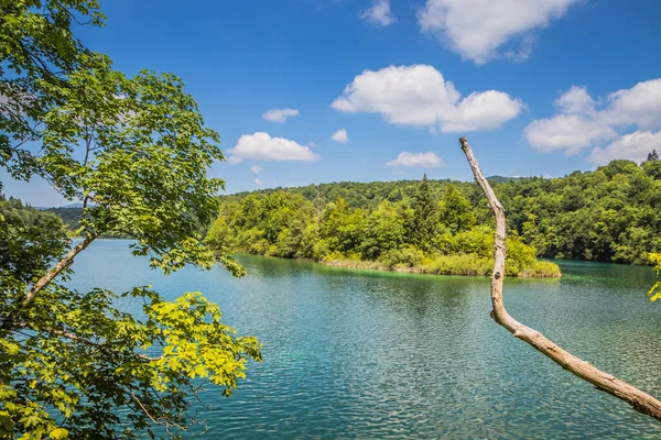 Вид Красивые Голубые Плитвицкие Озера Камни Зеленые Деревья Вокруг Озер — стоковое фото