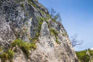 Plitvice Gölleri 'nde ağaçlar ve çimlerle kaplı kayalar. Mavi suyu olan göllerin etrafındaki kayalar ve yeşil ağaçlar. Hırvatistan 'daki Plitvice Gölleri Ulusal Parkı nefes kesici bir manzara.