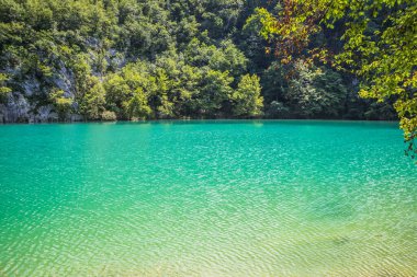 Güzel, berrak mavi Plitvice Gölleri manzarası. Mavi suyu olan göllerin etrafındaki kayalar ve yeşil ağaçlar. Hırvatistan 'daki Plitvice Gölleri Ulusal Parkı nefes kesici bir manzara.