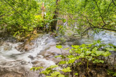 Plitvice Gölleri 'ndeki güzel şelalelerin manzarası. Mavi suyu olan göllerin etrafındaki kayalar ve yeşil ağaçlar. Hırvatistan 'daki Plitvice Gölleri Ulusal Parkı nefes kesici bir manzara.