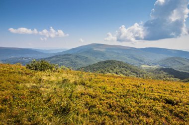 Dağlara ve vadilere giden Ukrayna Karpatlarının güzel manzarası. Yazın sonlarında Karpatlar 'ın kayalık tepeleri ve odunları. Sarı ve yeşil çimenler ve dağ yamaçlarında kır çiçekleri..