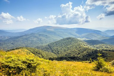 Dağlara ve vadilere giden Ukrayna Karpatlarının güzel manzarası. Yazın sonlarında Karpatlar 'ın kayalık tepeleri ve odunları. Sarı ve yeşil çimenler ve dağ yamaçlarında kır çiçekleri..