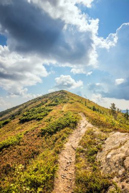 Dağlara ve vadilere giden Ukrayna Karpatlarının güzel manzarası. Yazın sonlarında Karpatlar 'ın kayalık tepeleri ve odunları. Sarı ve yeşil çimenler ve dağın tepesi ve ona giden yol.