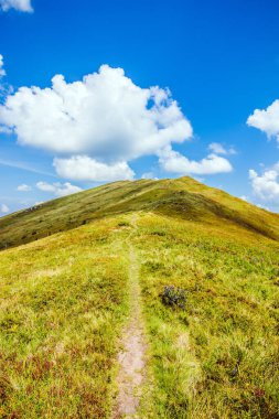Dağlara ve vadilere giden Ukrayna Karpatlarının güzel manzarası. Yazın sonlarında Karpatlar 'ın kayalık tepeleri ve odunları. Sarı ve yeşil çimenler ve dağın tepesi ve ona giden yol.