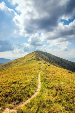 Dağlara ve vadilere giden Ukrayna Karpatlarının güzel manzarası. Yazın sonlarında Karpatlar 'ın kayalık tepeleri ve odunları. Sarı ve yeşil çimenler ve dağın tepesi ve ona giden yol.