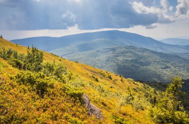 Dağlara ve vadilere giden Ukrayna Karpatlarının güzel manzarası. Yazın sonlarında Karpatlar 'ın kayalık tepeleri ve odunları. Sarı ve yeşil çimenler ve dağın tepesi ve ona giden yol.