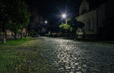 Yaz aylarında küçük bir kasabada gece kaldırımlı bir cadde. Yeşil ağaçlar ve fenerlerle taştan yapılmış gece yolu. Özel evleri olan küçük bir Avrupa kasabası. Mukachevo. Ukrayna