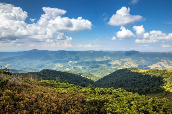 Красивый Вид Украинских Карпат Горы Долины Скалистые Вершины Лес Карпат — стоковое фото