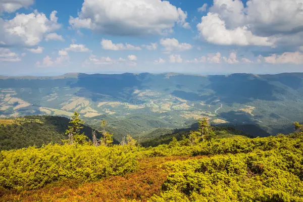 ウクライナのカルパティア人の山と谷への美しい眺め 夏の終わりにカルパチア人のロッキーピークと木 黄色と緑の草 そして山の頂上とそれへの道 — ストック写真