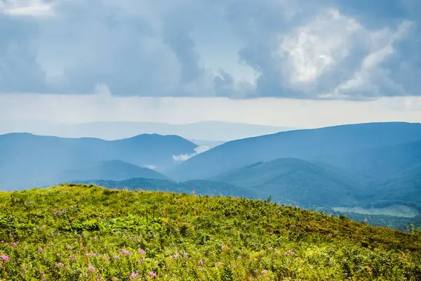 Piękny Widok Karpaty Ukraińskie Gór Dolin Skaliste Szczyty Las Karpat — Zdjęcie stockowe