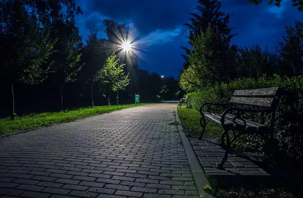 The tiled road in the night park with lanterns in early autumn. Benches in the park during the autumn season at night. Green grass and leaves on trees in a night park