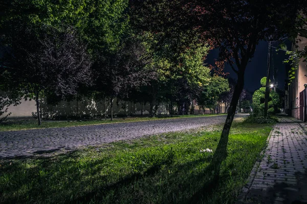 Natt Kullerstensgata Liten Stad Sommaren Nattväg Sten Med Gröna Träd — Stockfoto